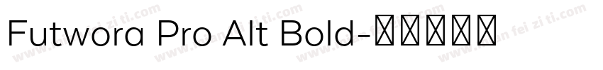 Futwora Pro Alt Bold字体转换